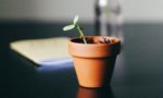 How to prepare your startup for growth