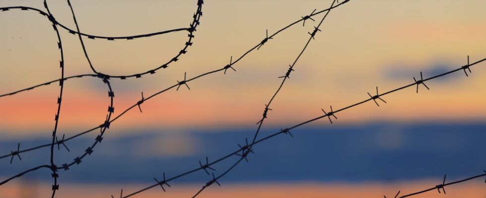 black barbwire in close up photography during daytime
