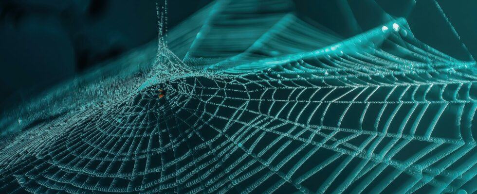 Macro shot of a spider web with droplets on it