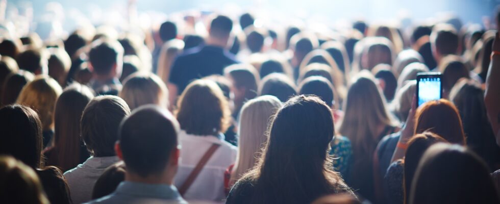 Crowd of fans