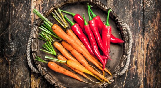 Organic food. Fresh harvest of vegetables.