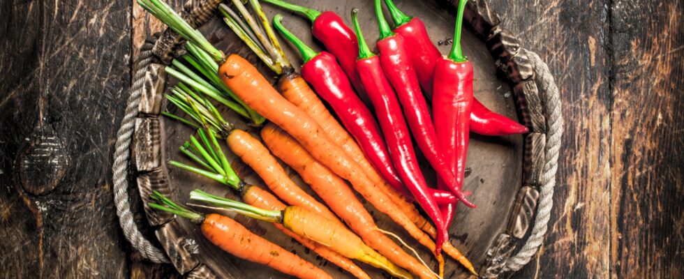 Organic food. Fresh harvest of vegetables.