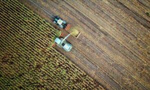 two trucks on plant field