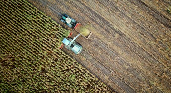 two trucks on plant field