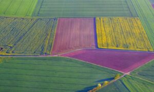 SA Country Hour podcast: ASII National Digital Twin