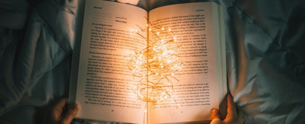 person holding string lights on opened book