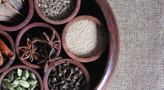 green and brown plant on brown clay pot